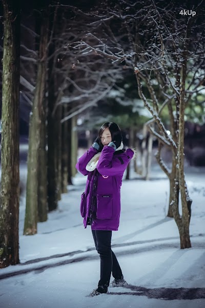 Bambi (밤비) Lacerta Photography