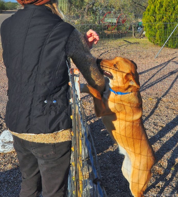 [DSC_0006%255B5%255D.jpg]