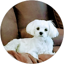 Suzanne Rivas profile picture