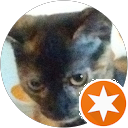 funny cat and dog Chase Red Dots profile picture