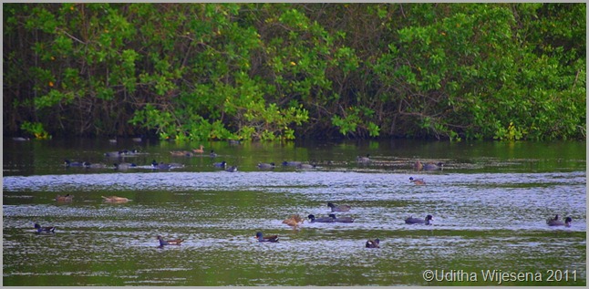 DSC_0065 DSC_0065