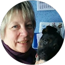 Image Google de CRICRI BERTAND