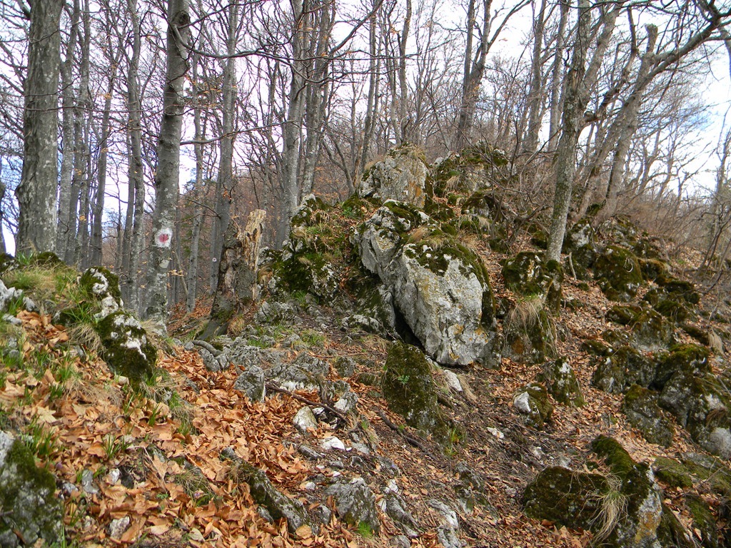 [DSCN80243.jpg]