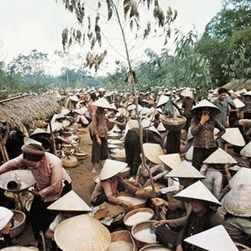 Điều tra đời sống nông thôn Bắc Việt Nam (giai đoạn 1954-1975)