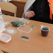 IMG_0053.JPG