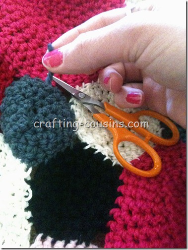 Crochet Circle Rug (7)