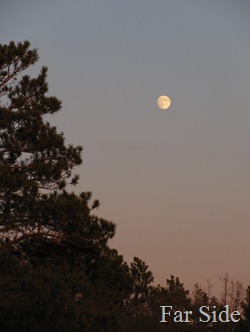 Moon November 08