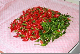 IMG_6791 IMG_6791