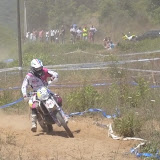 Pogli - By Alessandro Bottani