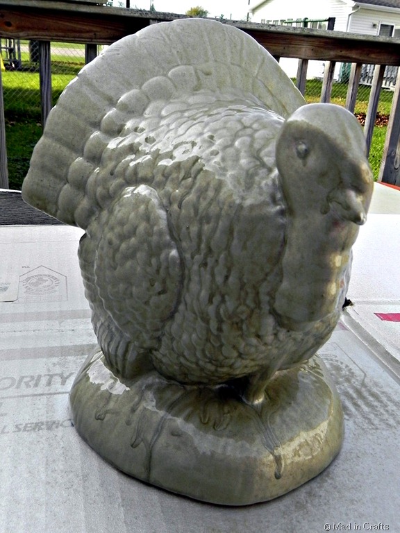 [spray-painted-turkey7.jpg]