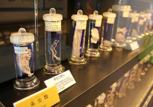 [%253CC759-%253F0%2540078B%253E%253B%253E388_B%253E%253A8%253E_1%255B3%255D.jpg]