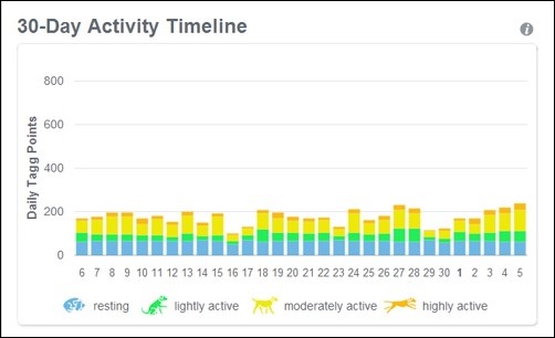 30 day activity timeline