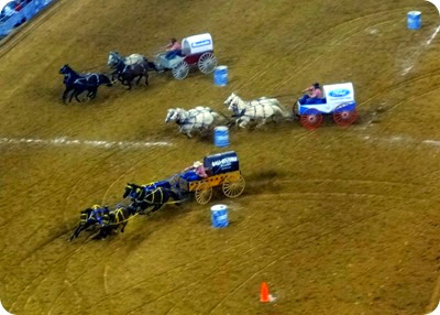 wagon races