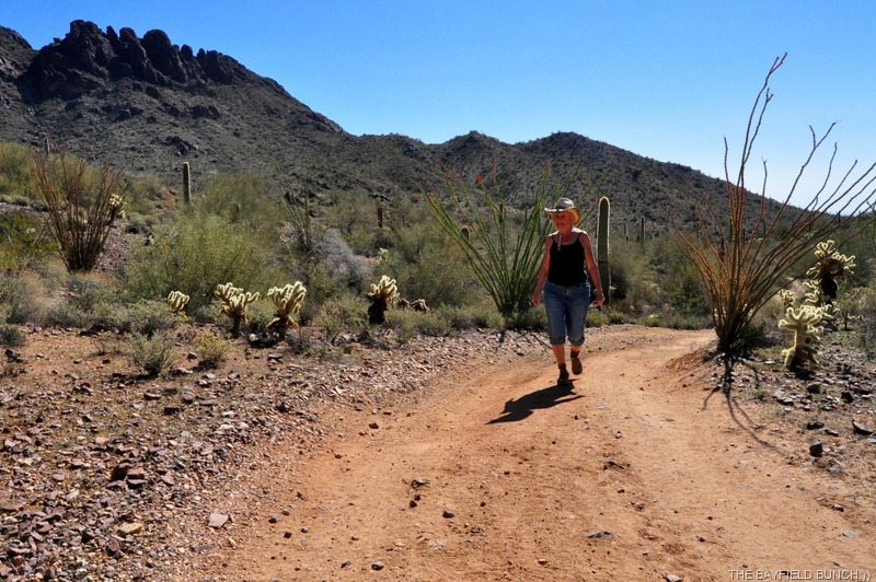 [DSC_0051%255B6%255D.jpg]