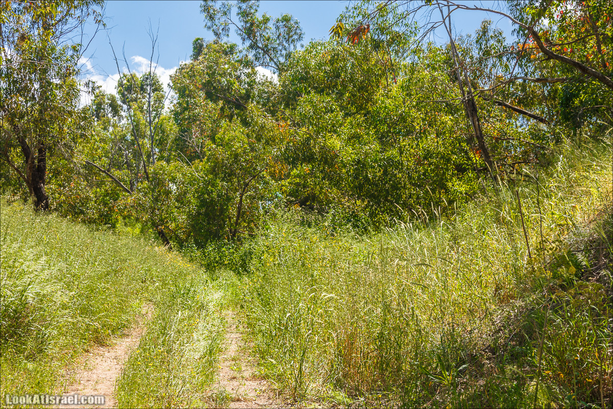 Песах в Долине Родников | Passover in Springs Valley| פסח בעמק המעיינות | LookAtIsrael.com - Фото путешествия по Израилю