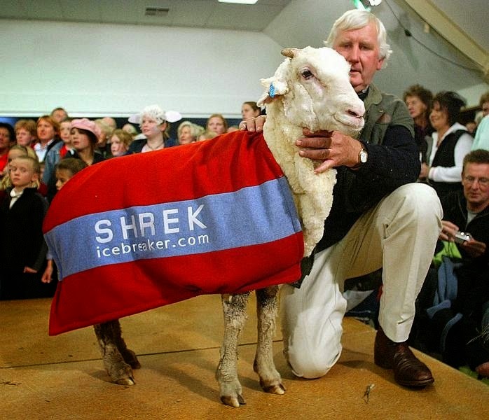 shrek-the-sheep-2