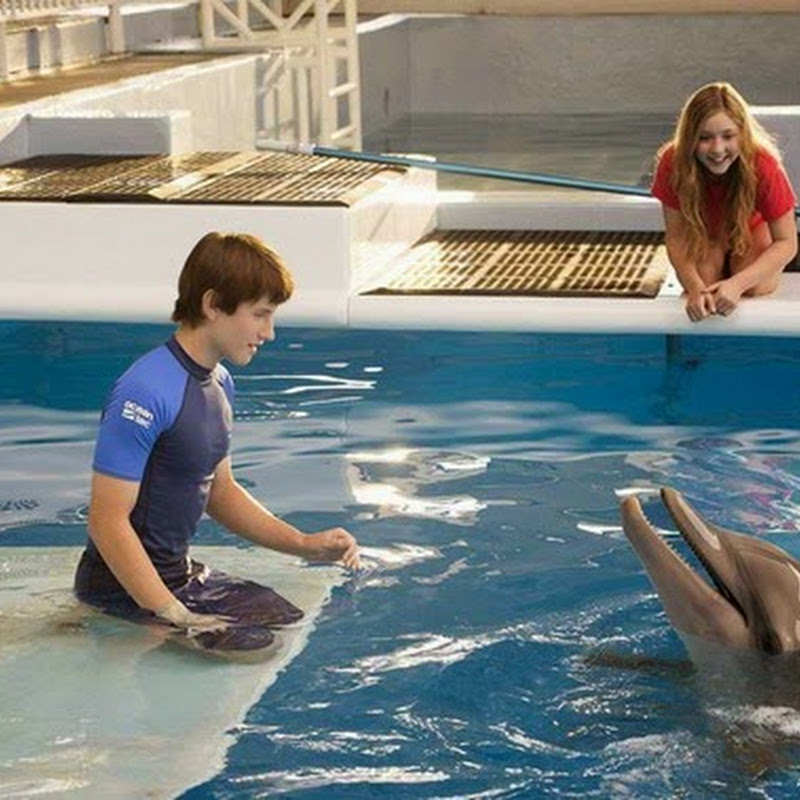 Story of Hope, Constant Change Unfolds in "Dolphin Tale 2"