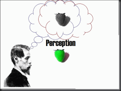 Perception-title