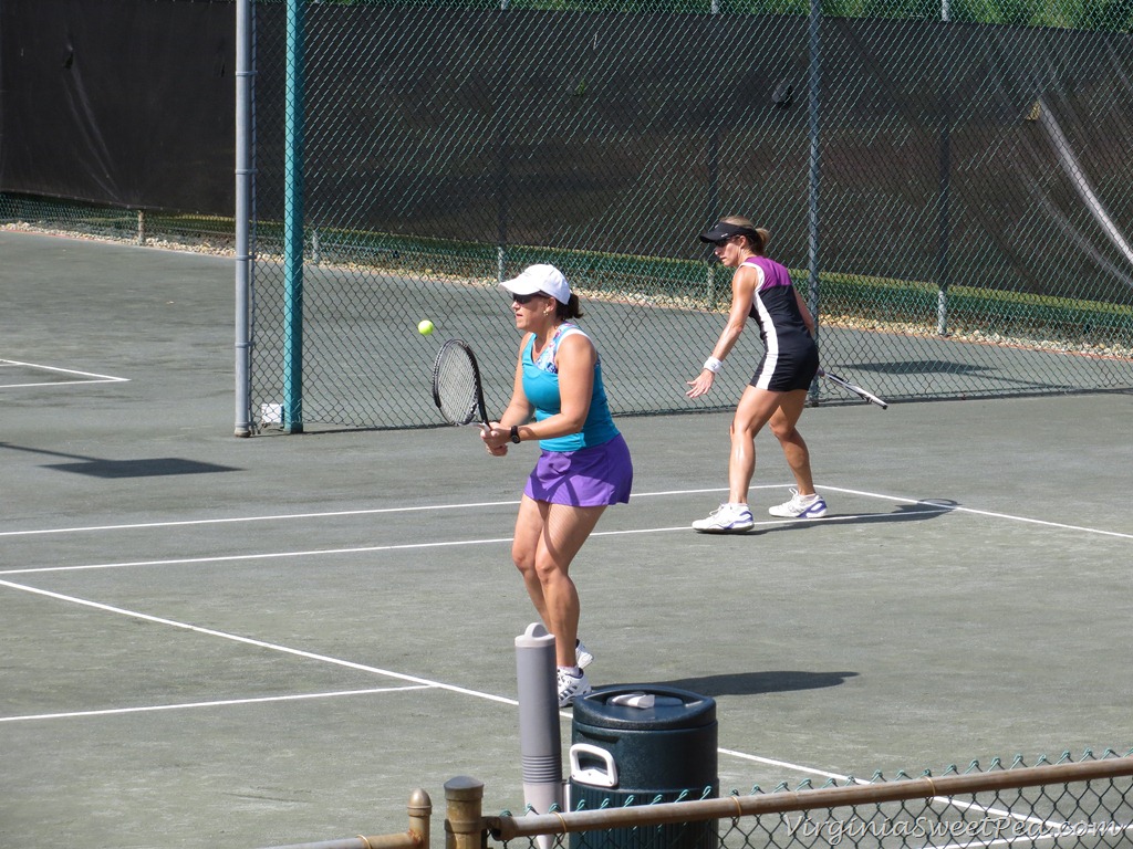 [Duck-Woods-CC-Paula-and-Elsie-Match3.jpg]