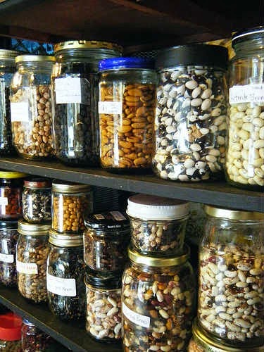 [seed-saving_urbanfoodwarrior%255B2%255D.jpg]