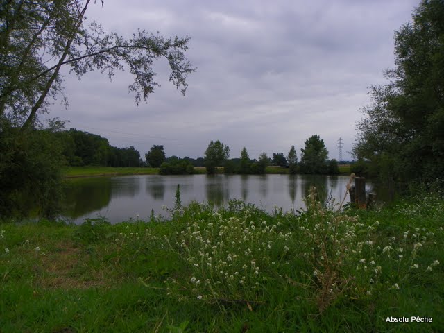 Etang le Tilleul photo #343