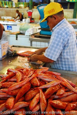 mercado de peixe em recife