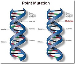 point_mutation