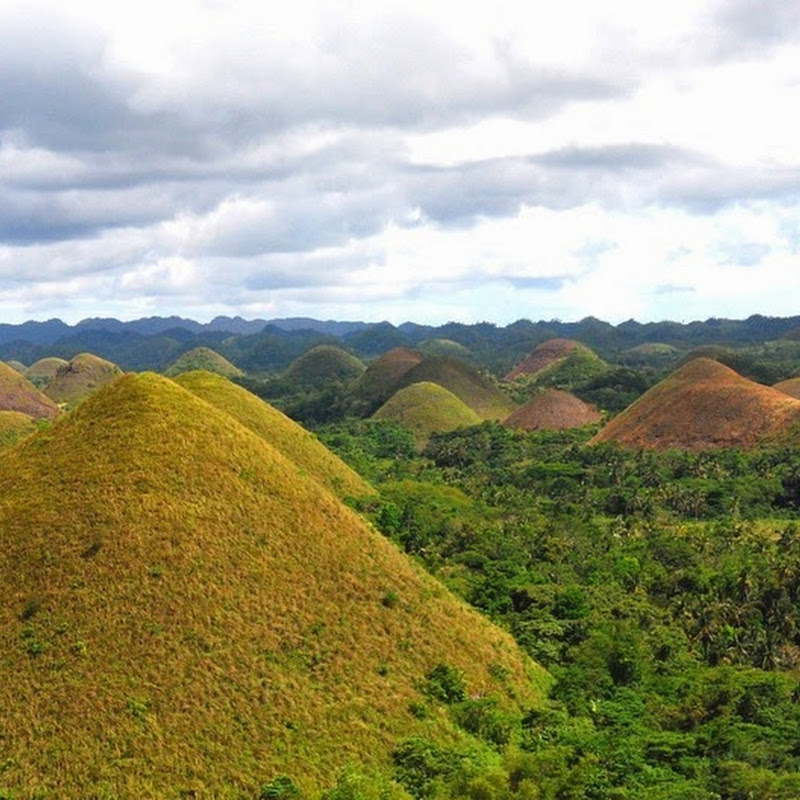 The Chocolate Hills of Bohol | Amusing Planet