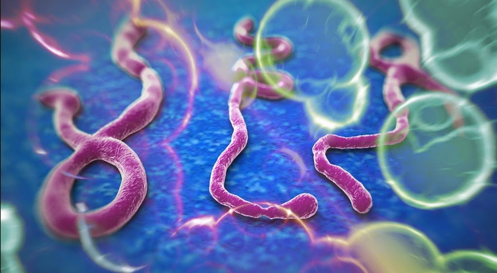 [Ebola%2520virus%255B17%255D.jpg]
