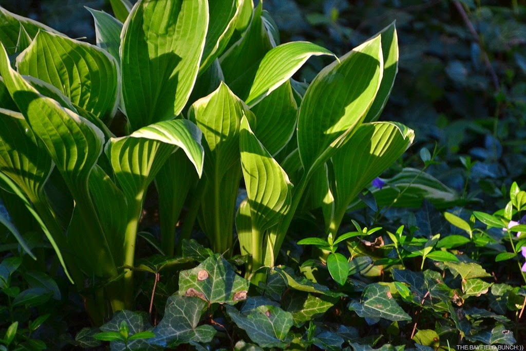 [DSC_0001%255B9%255D.jpg]