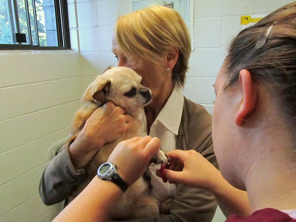 [IMG_0744%255B3%255D.jpg]