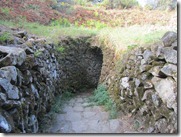 IMG_5203 IMG_5203