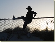 jumping_fence