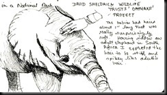 October 30, 2012 Orphan Elephant sketch