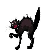 gato-negro-halloween-gifs-08