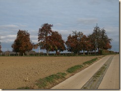 Weide met picnictafel opengesteld voor het publiek