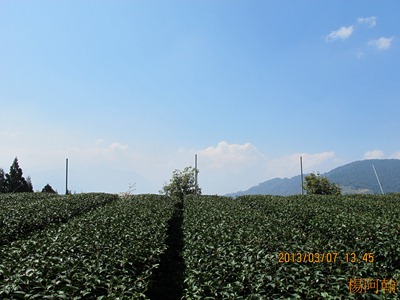 2013 恩愛農場 - 064