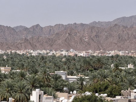 21. Oaza Nizwa.JPG