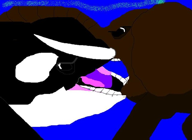 [Now-We-Lock-Our-Mouths-orca-killer-whale-vs-elephant-24960522-858-629%255B4%255D.jpg]