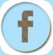 Facebook-Button-1plus1plus119222