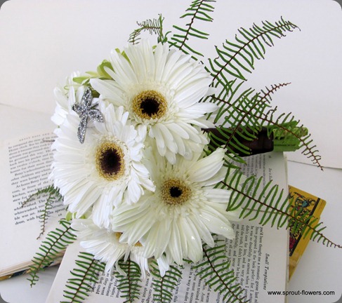 IMG_3477   sprout Worcester Mass