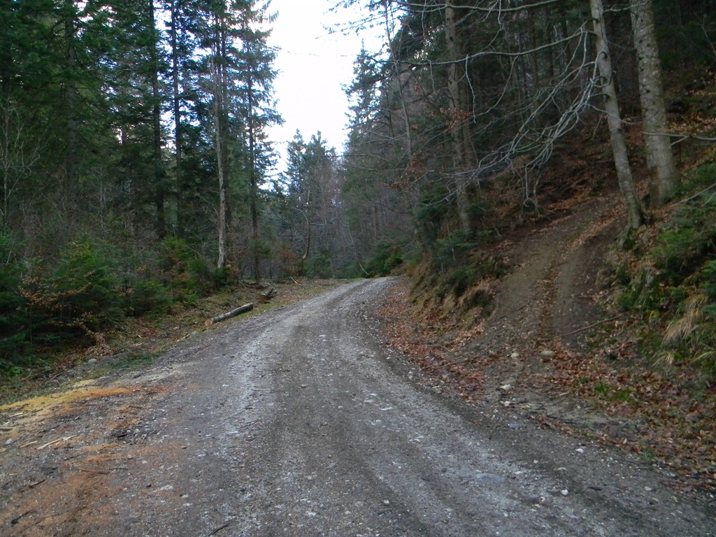 [DSCN27583.jpg]