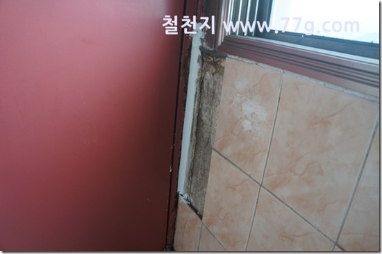 77gDSC04860-20130823-130202