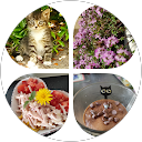 Image Google de GG & Cnie