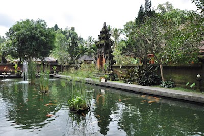 DSC_0119.jpg