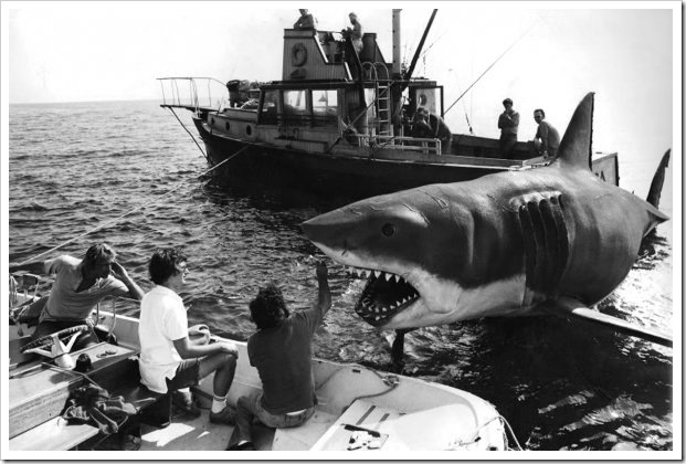 tubarão_2