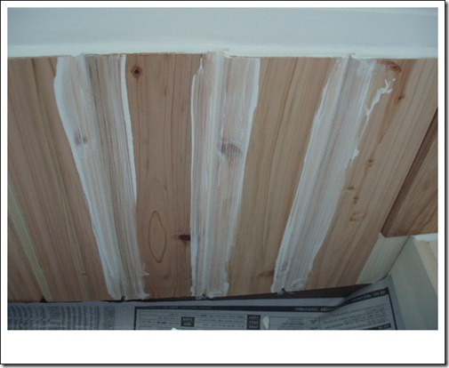 Gallery2872_13