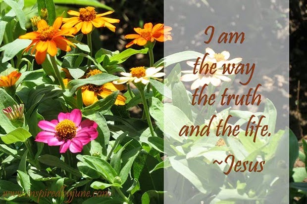 IAm IAm