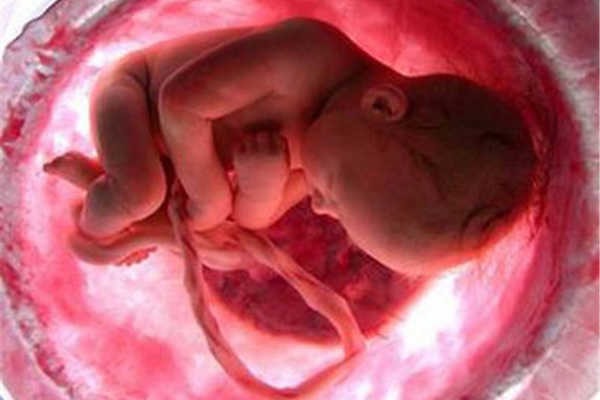5- O que uma criança pode fazer no útero