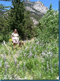 Woodbine trail MT4 - 29 June 2011